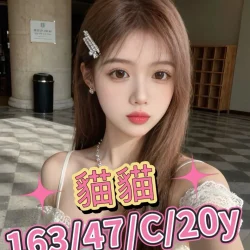 台中外送茶 貓貓