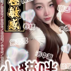 台南定點茶 小貓咪