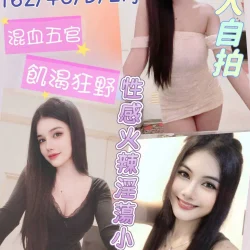 雲林定點茶 小松鼠