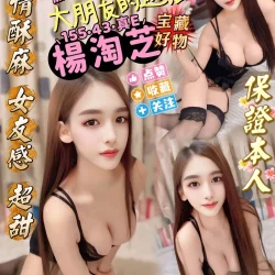 屏東定點茶 楊淘芝