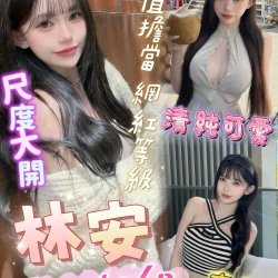 屏東定點茶 林安