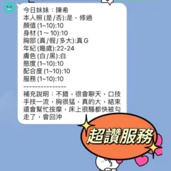 新竹定點茶 陳希 - 找妹老司機
