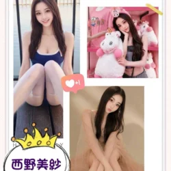 台中定點茶 西野美紗 - 找妹老司機