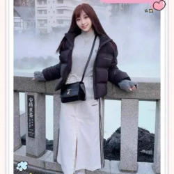 台中定點茶 西野美紗 - 找妹老司機