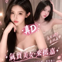 嘉義定點茶 劉詩詩