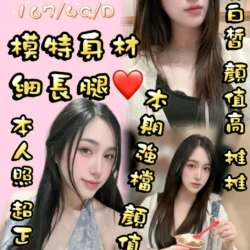 桃園定點茶 潔西卡