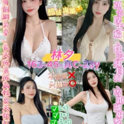 桃園定點茶 林夕