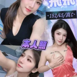 台中定點茶 飛飛