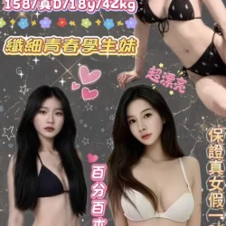 新北定點茶 布偶