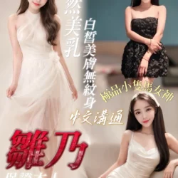 台南定點茶 雛乃