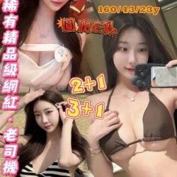 桃園定點茶 泰莉