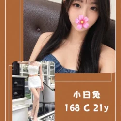 台北外送茶 小白兔