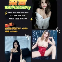 台中定點茶 梨音