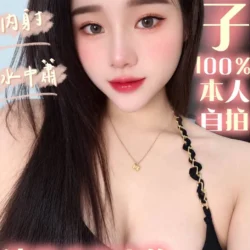 台中定點茶 梅子