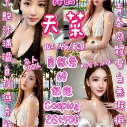 新竹定點茶 天菜
