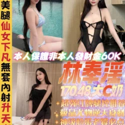 新北定點茶 林奉淫