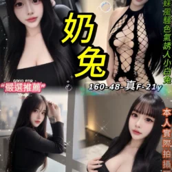 台北定點茶 奶兔