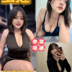 台北定點茶 蛋撻