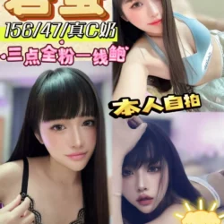 嘉義定點茶 碧螢