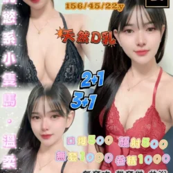 桃園定點茶 微微