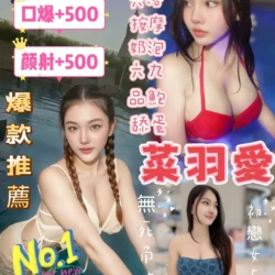 桃園定點茶 菜羽愛