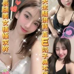 雲林定點茶 韓花