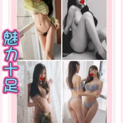 新北定點茶 媚莉