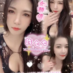 南投定點茶 許七七