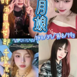 新北定點茶 月娘