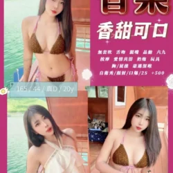 苗栗定點茶 香菜