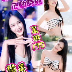 台北定點茶 橘美