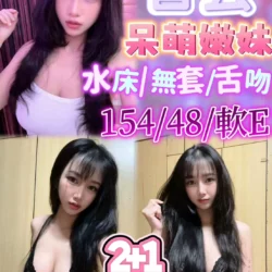 苗栗定點茶 智芸