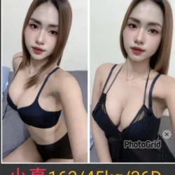 南投定點茶 小真