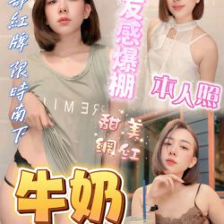 屏東定點茶 牛奶