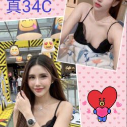 南投定點茶 梅子