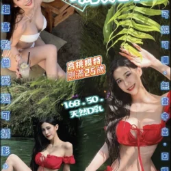 苗栗定點茶 瑪妮菈
