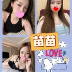 台北定點茶 苗苗