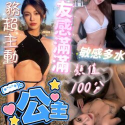 高雄定點茶 公主