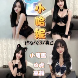 苗栗定點茶 小哈妮