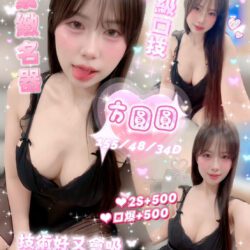 南投定點茶 方圓圓