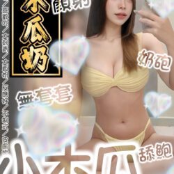 台南定點茶 小木瓜