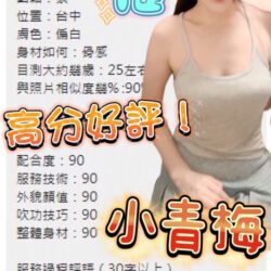 台中定點茶 小青梅 - 找妹老司機