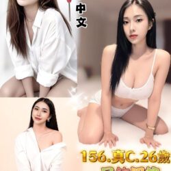 新北定點茶 波迪