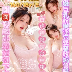 台中外送茶 小妖精