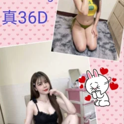 南投定點茶 小芬