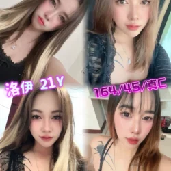 台北定點茶 洛伊