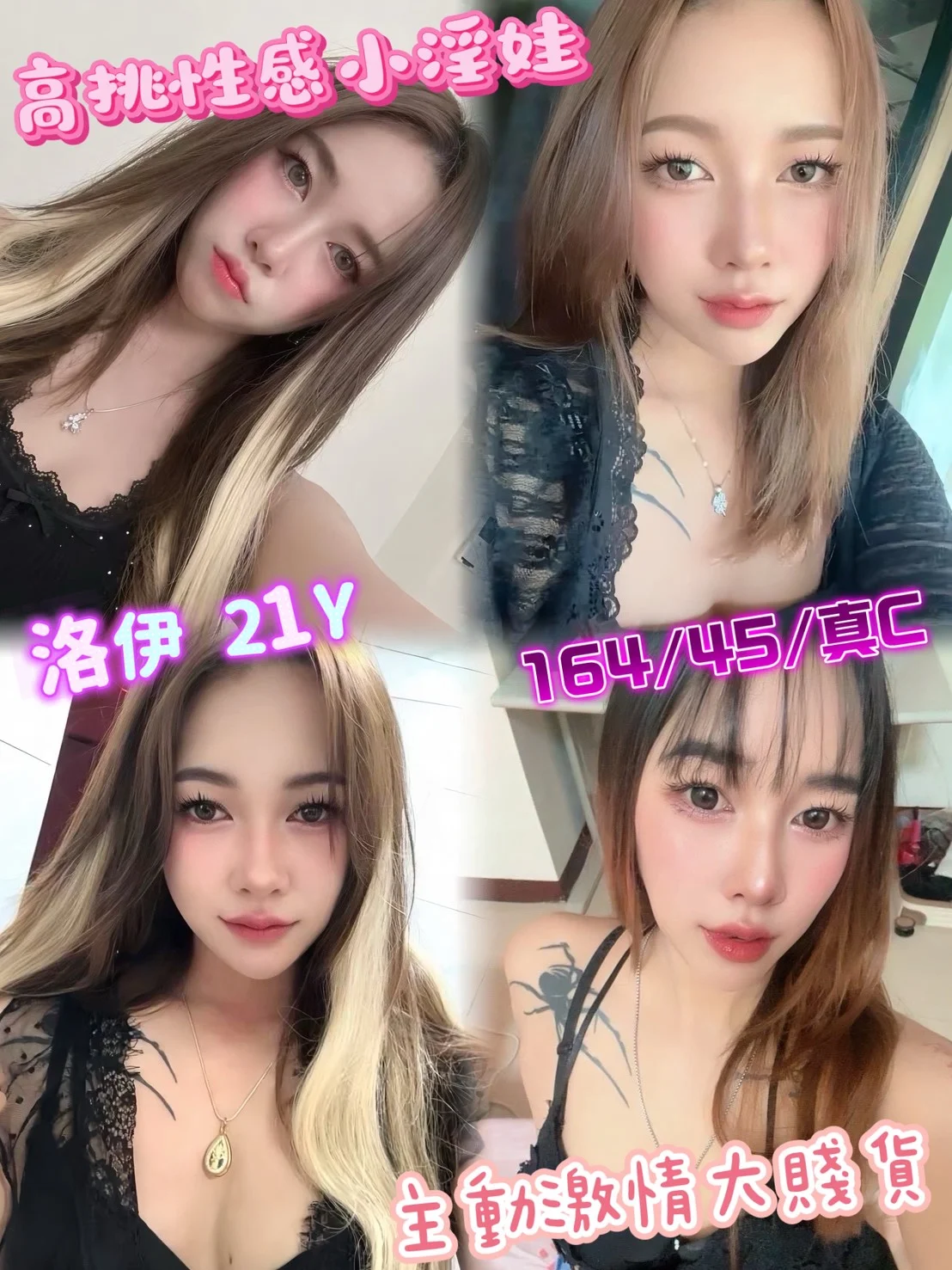 台北定點茶 洛伊 1 台北定點茶 洛伊