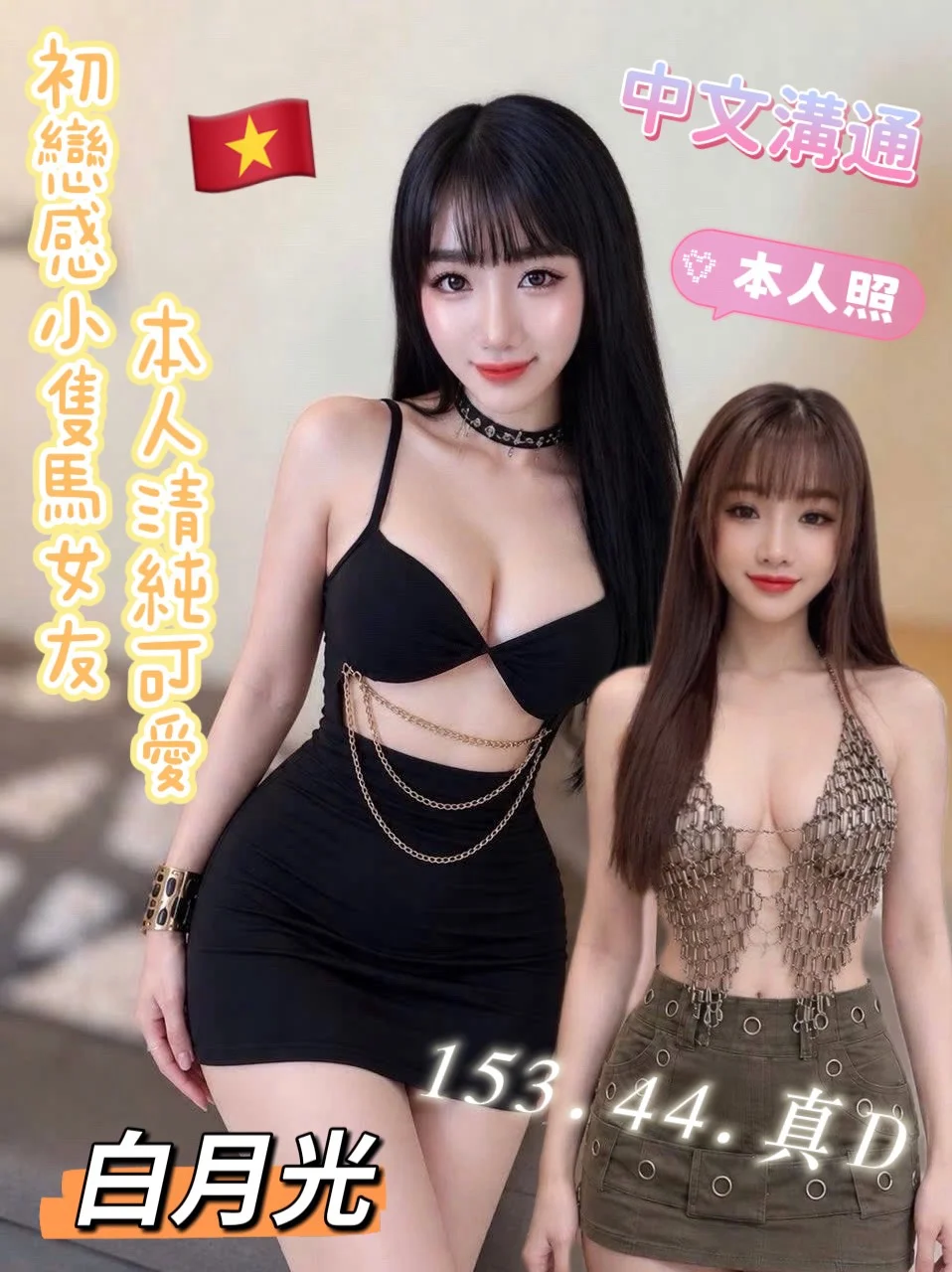 台東定點茶 白月光 1 台東定點茶 白月光