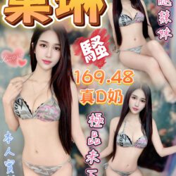 台中定點茶 菓琳
