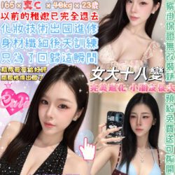 台北定點茶 花蝴蝶